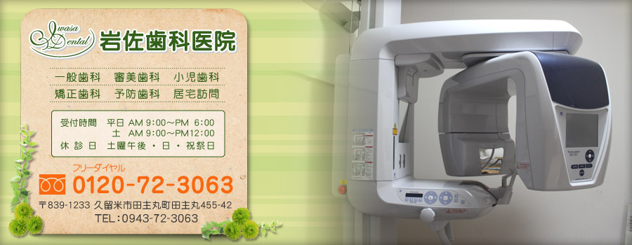 公式案内画像