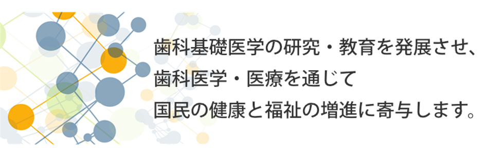 一般社団法人歯科基礎医学会 の写真