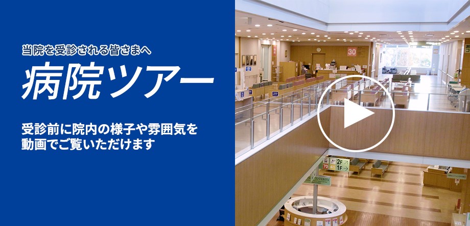 公式案内画像