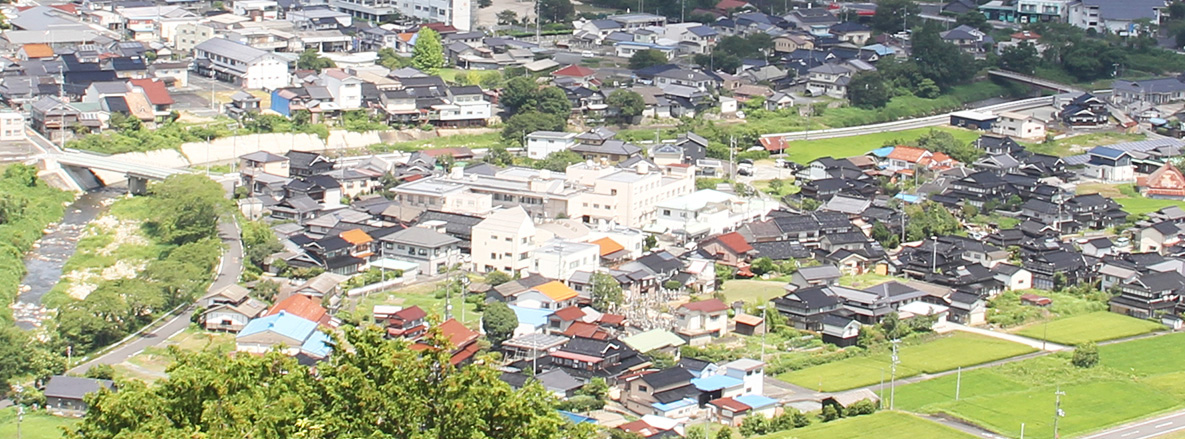 公式案内画像