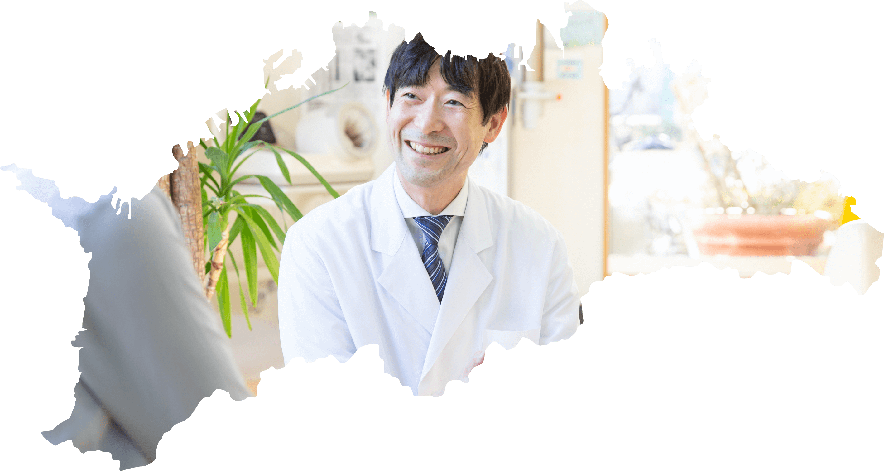 公式案内画像