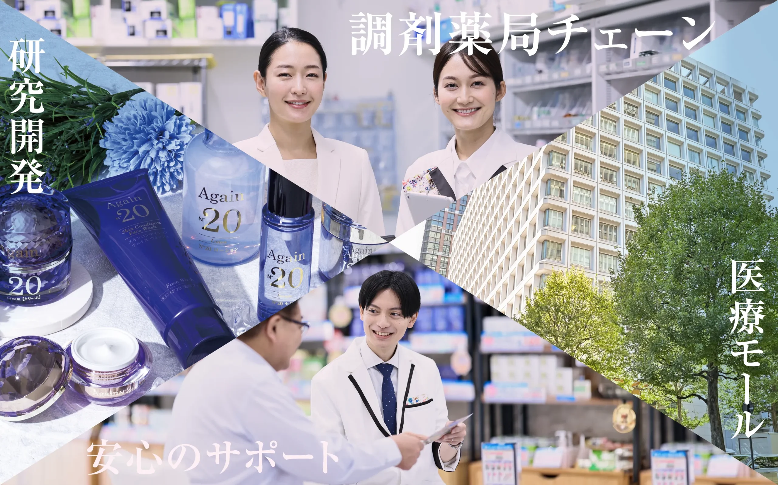 公式案内画像