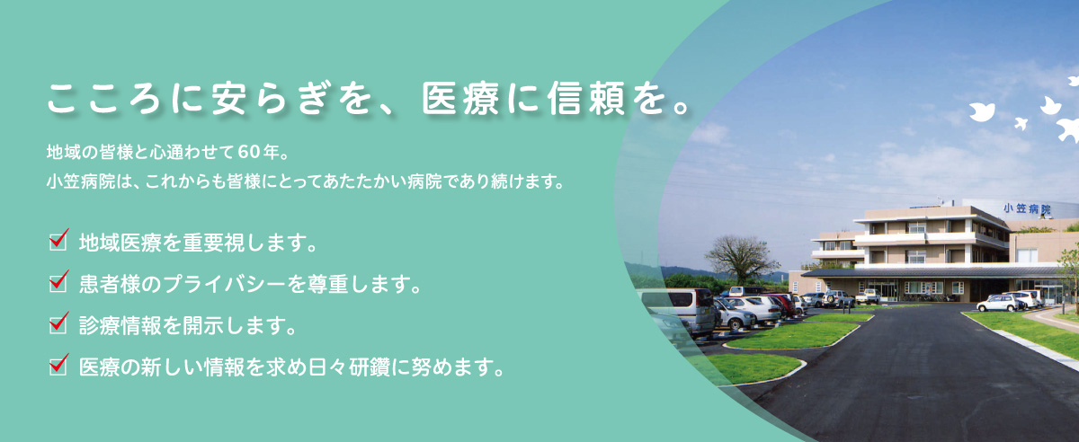 公式代表画像