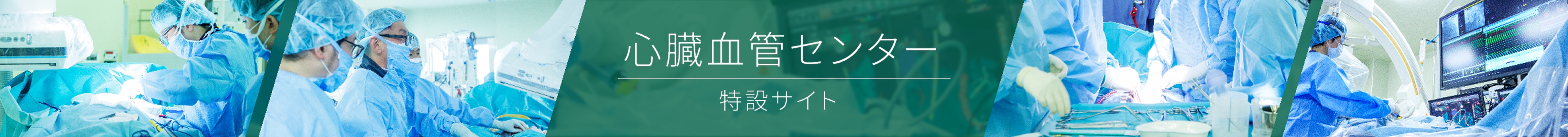 公式案内画像