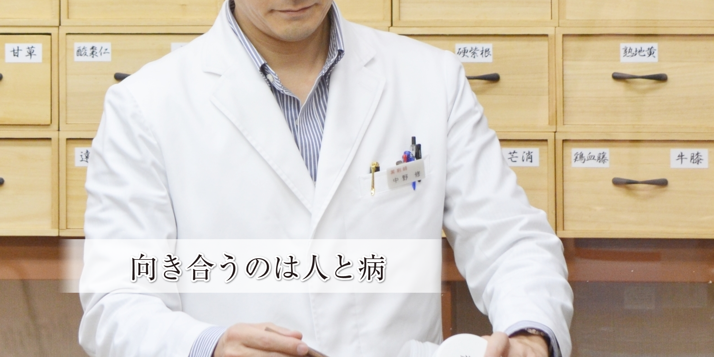 公式案内画像