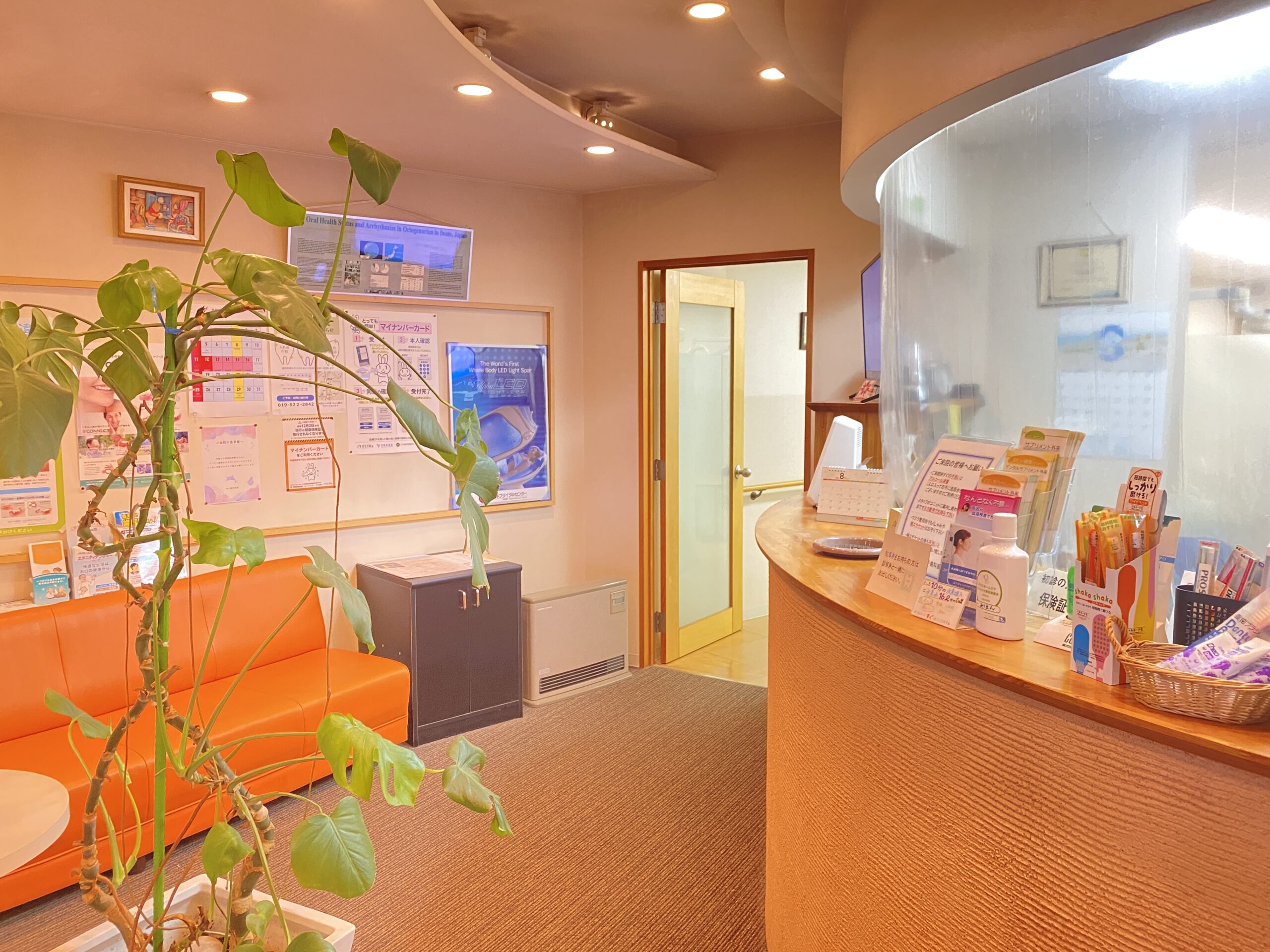 公式案内画像