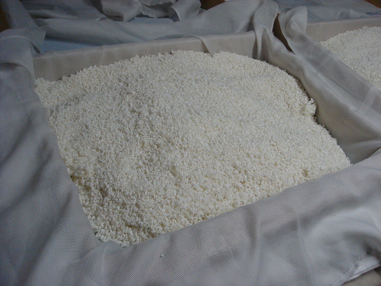布の上に広げられた手作りの米麹
