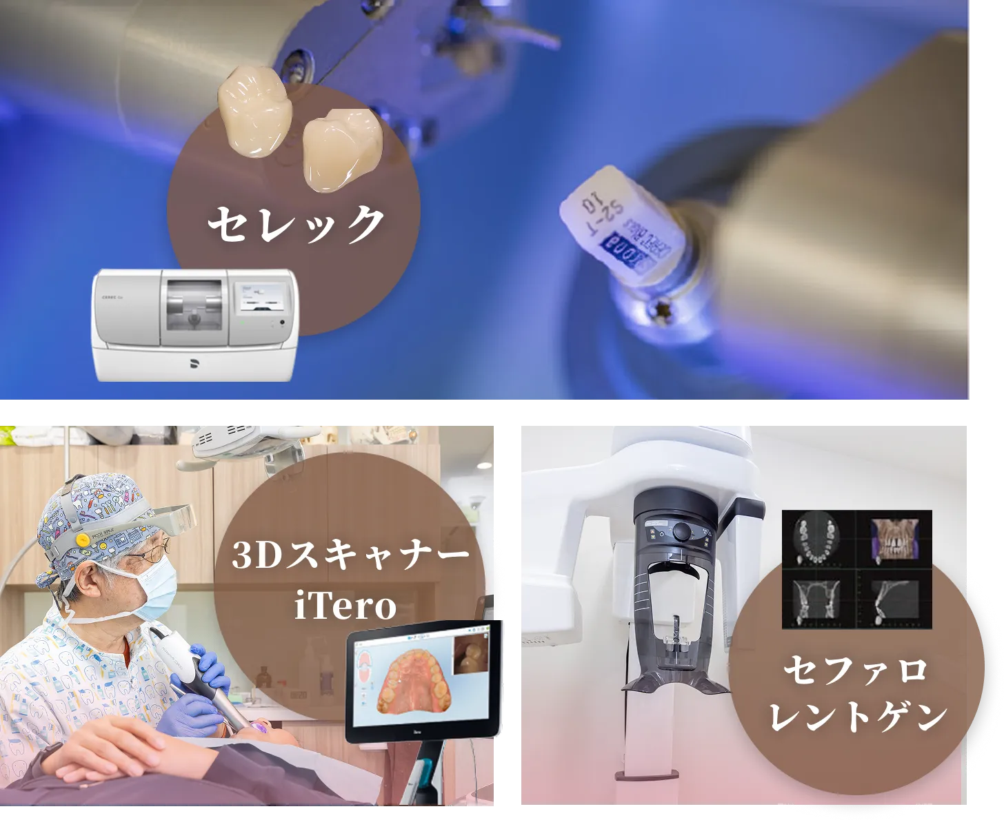 公式案内画像