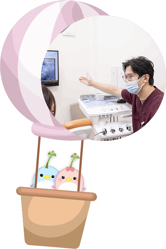 公式案内画像