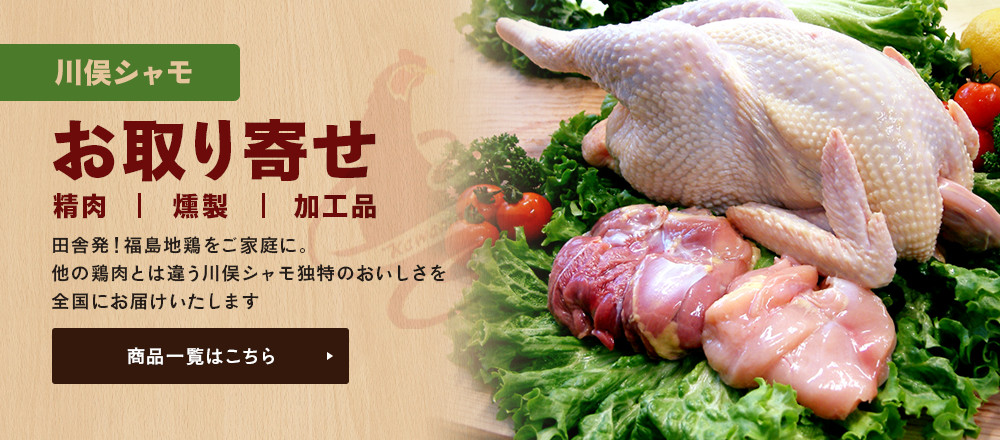 公式案内画像