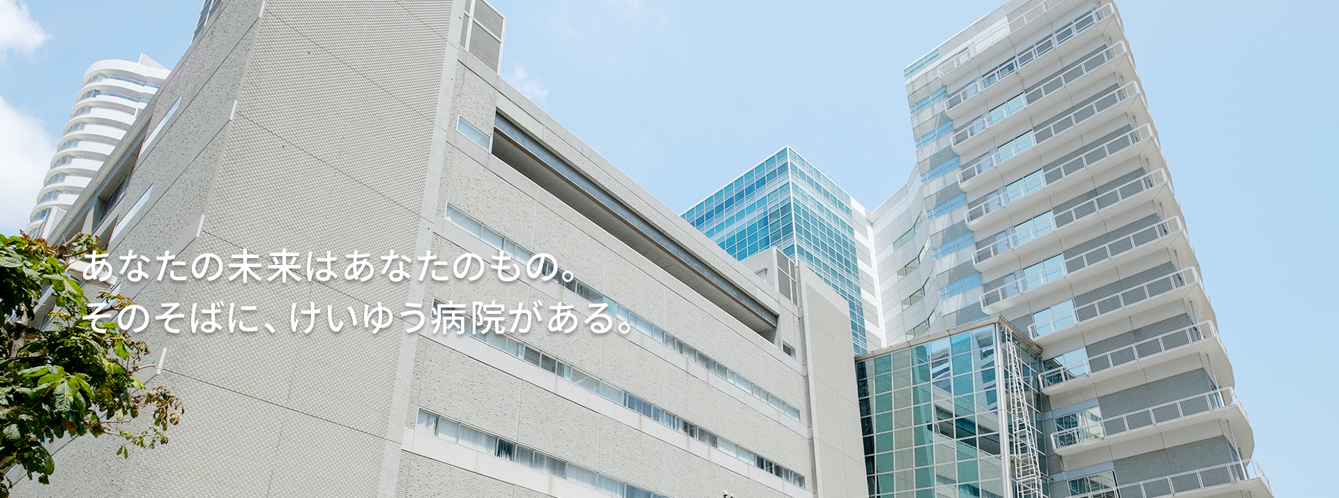 公式案内画像