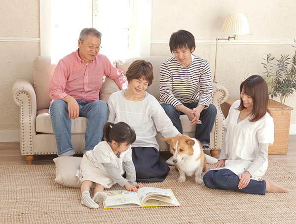 公式案内画像