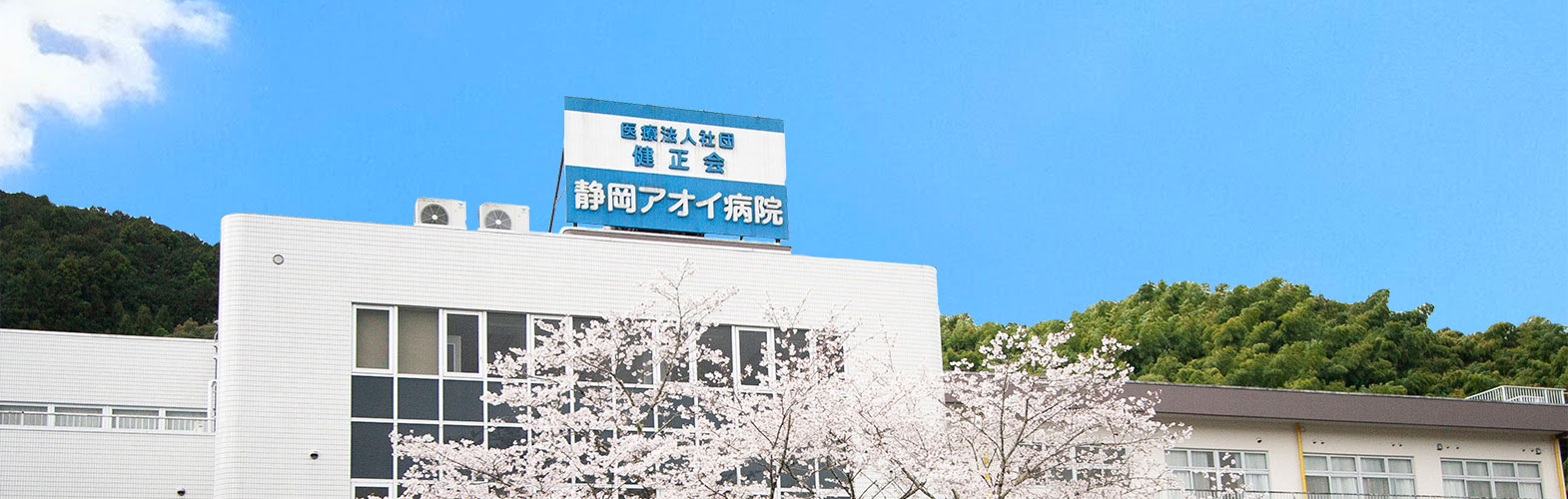 公式施設紹介ヘッダーに掲載された病院名看板と外観。