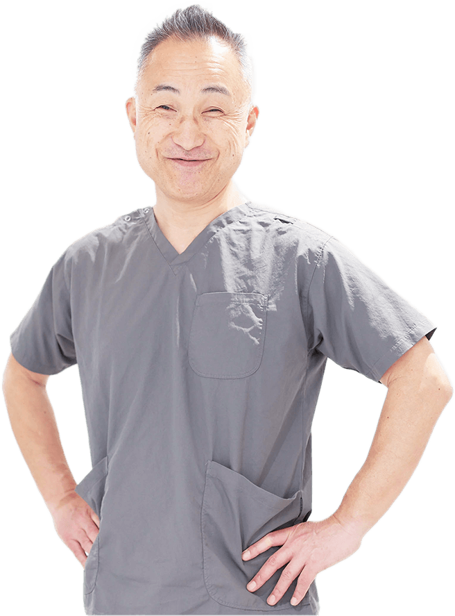 公式案内画像