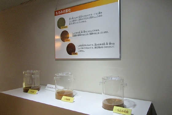 初期・発酵期・熟成期のもろみを比べる展示