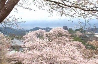 北岡本店 の写真