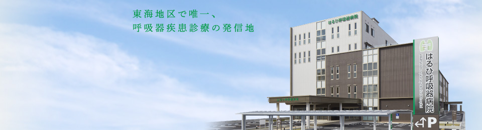 公式案内画像