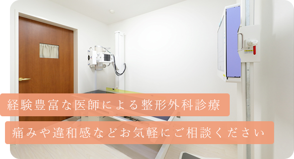 公式案内画像