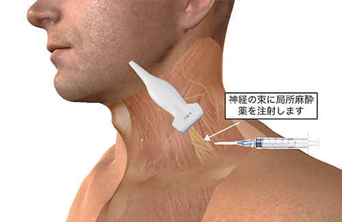 公式案内画像