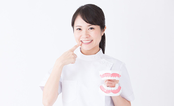 公式案内画像