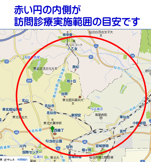 公式案内画像