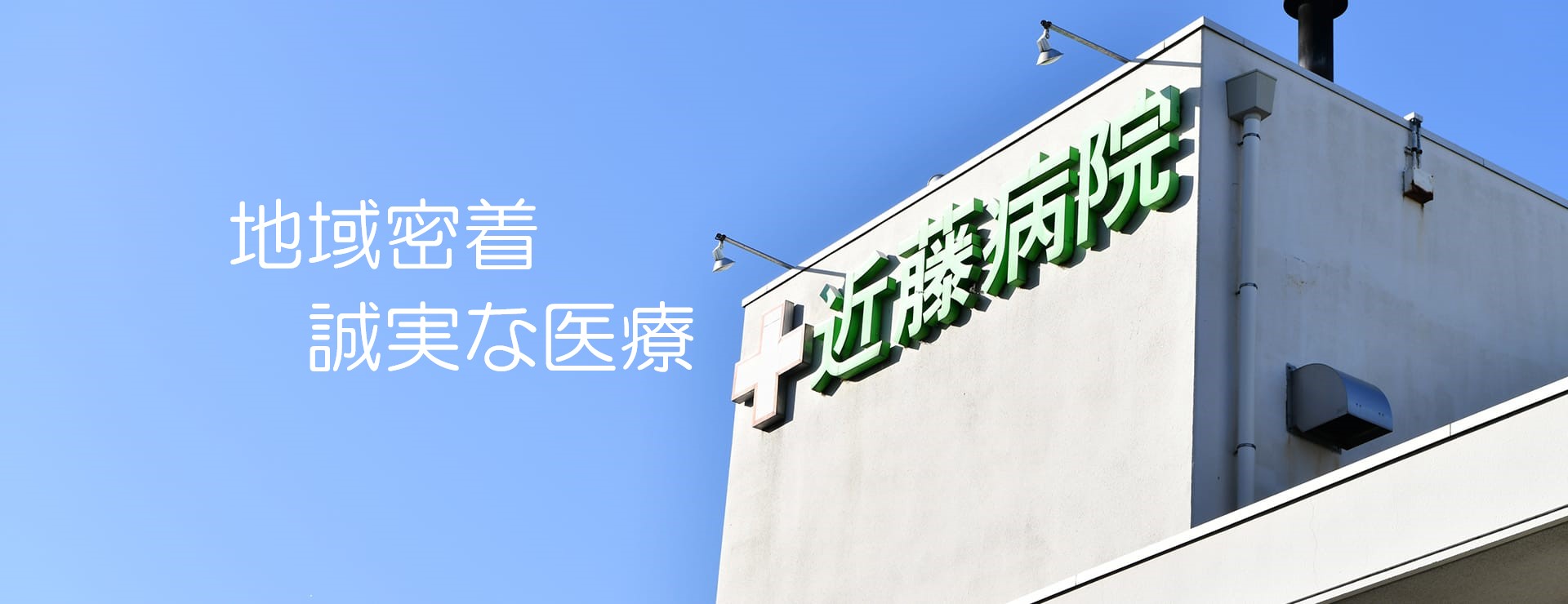公式代表画像
