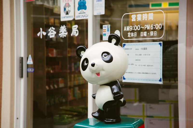 公式案内画像