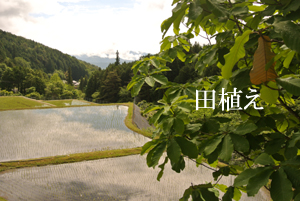 公式案内画像