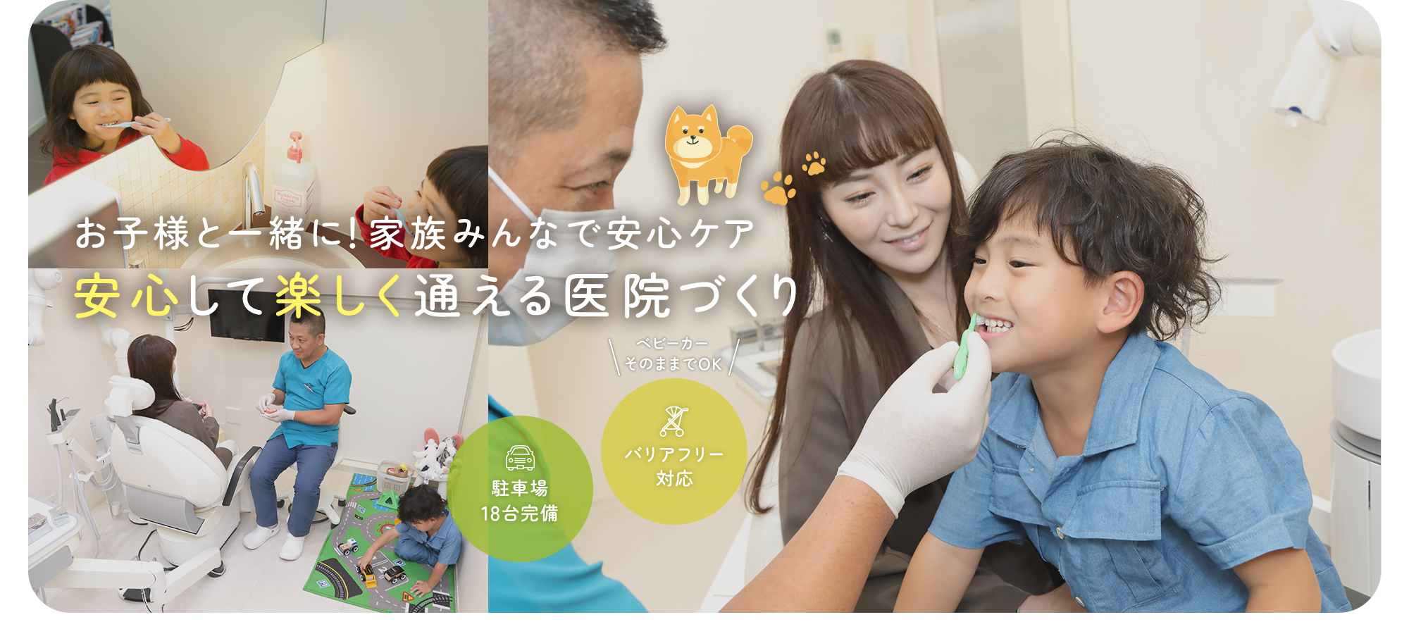 公式案内画像