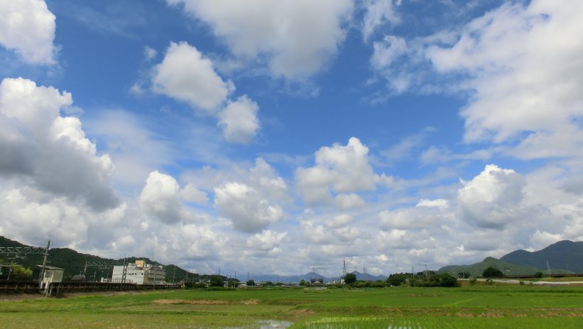 公式案内画像