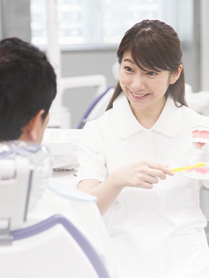 公式案内画像