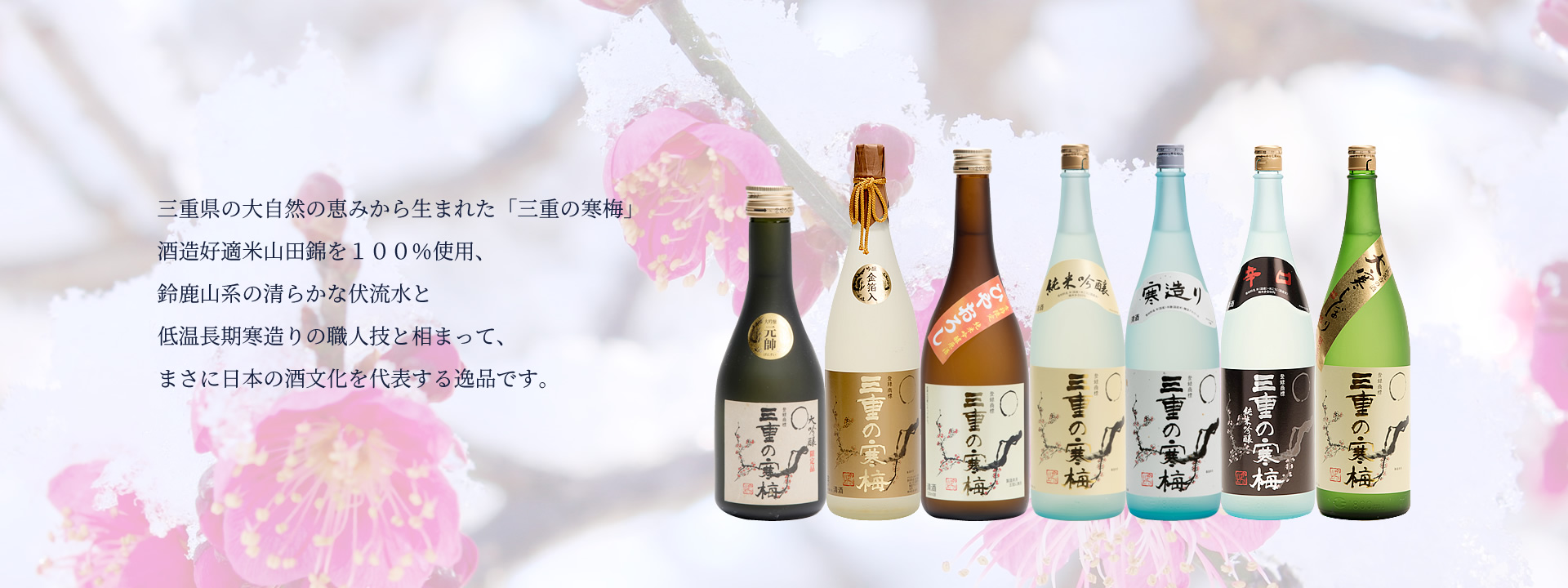 公式案内画像