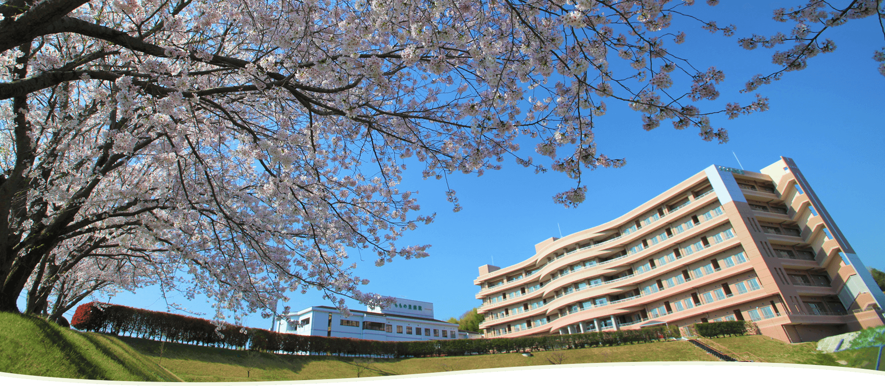 公益財団法人仁和会ももの里病院 の写真