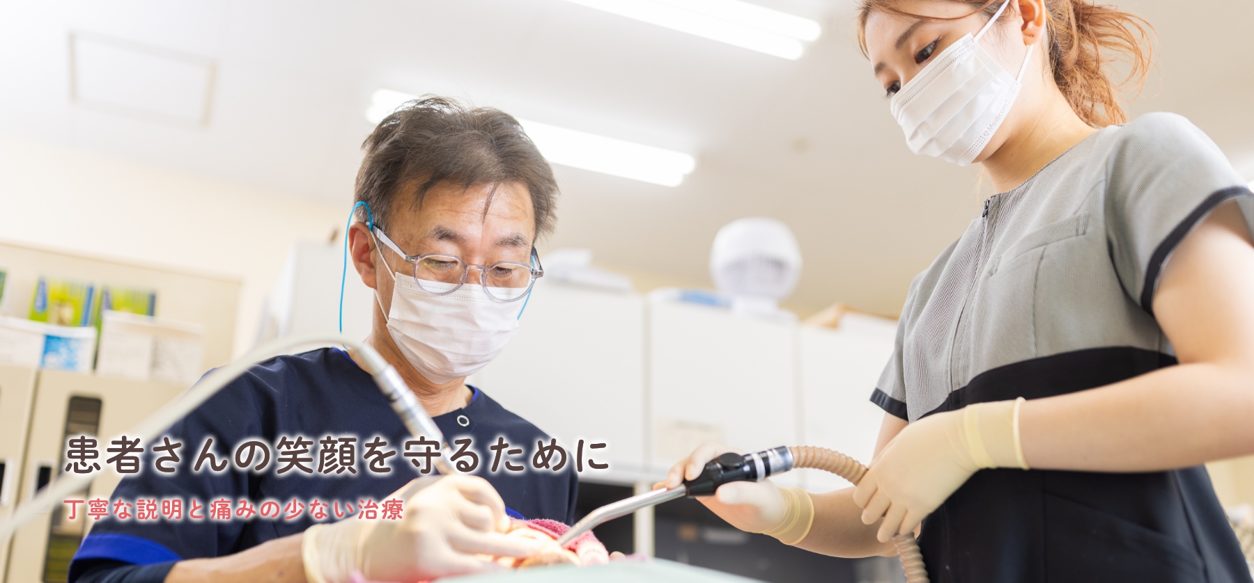 公式案内画像