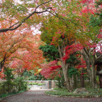 公式運営方針ページに掲載された紅葉の庭