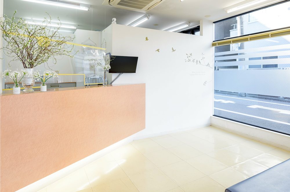 武蔵小山皮フ科形成外科 の写真