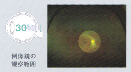 公式案内画像