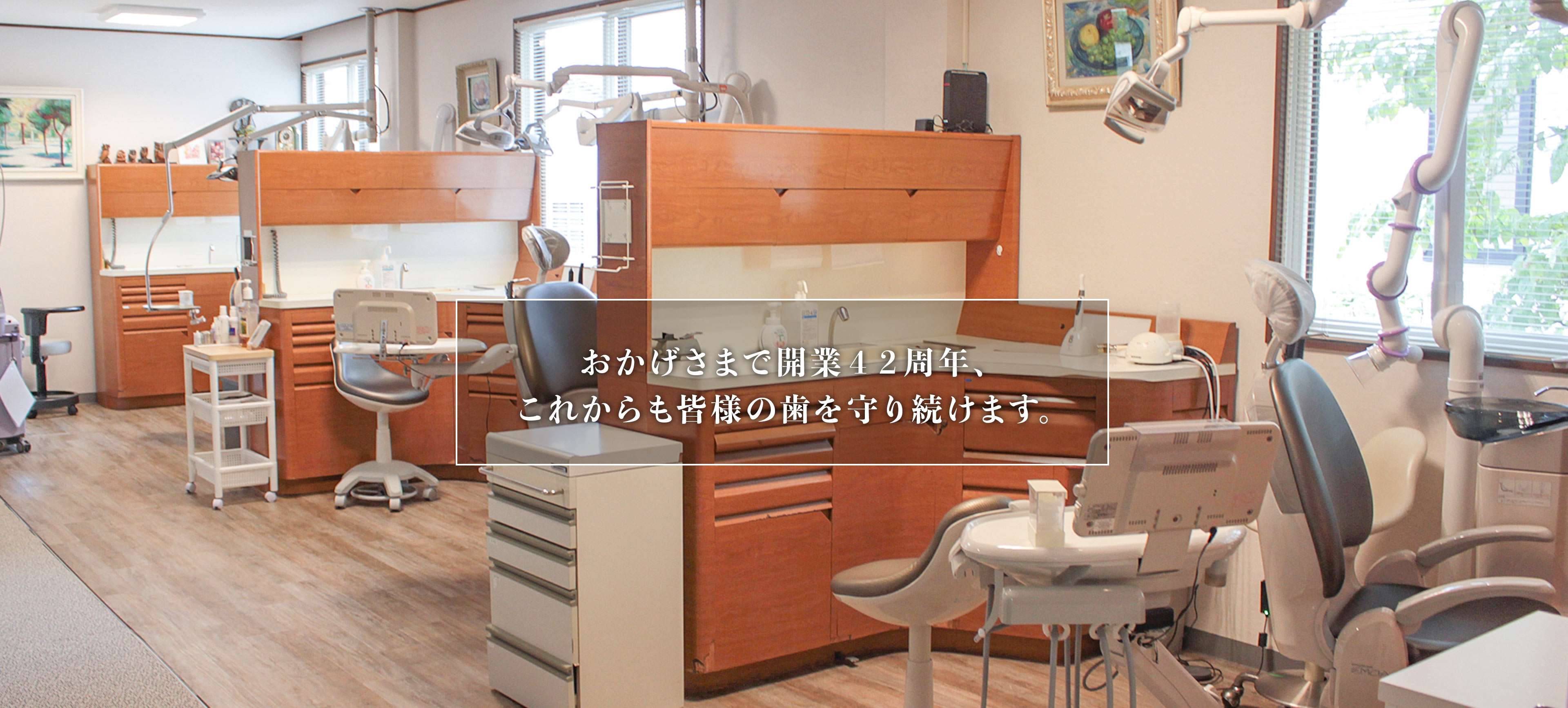 公式案内画像