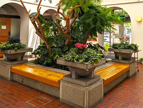 公式の院内紹介に掲載された、植栽とベンチのあるロビー。