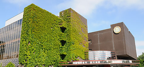 歯科部門の建物外観