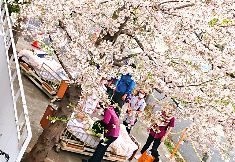 公式緩和ケア病棟ページに掲載された季節行事のお花見