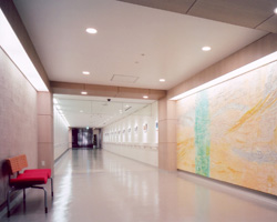写真・絵画を展示する院内通路ガレリア