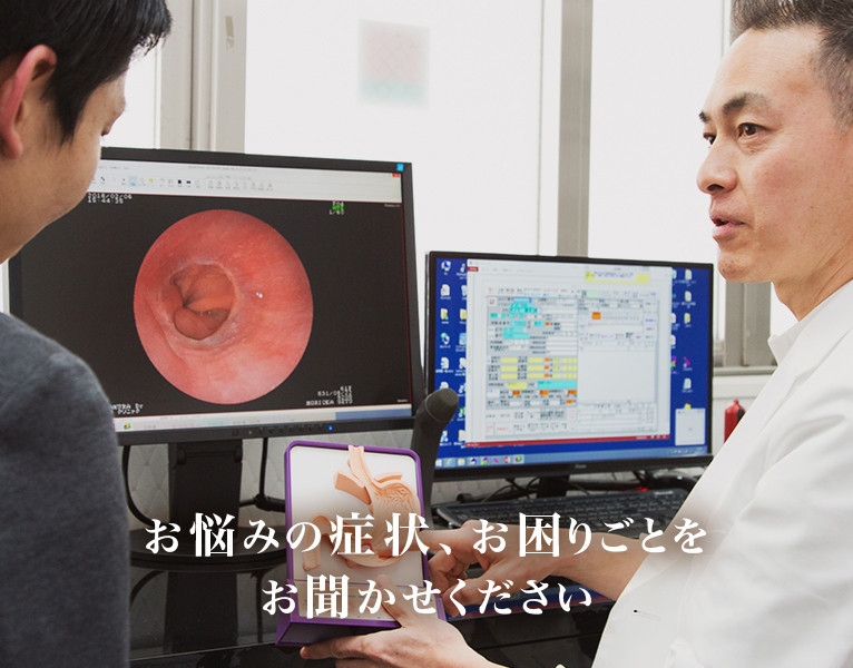 公式案内画像