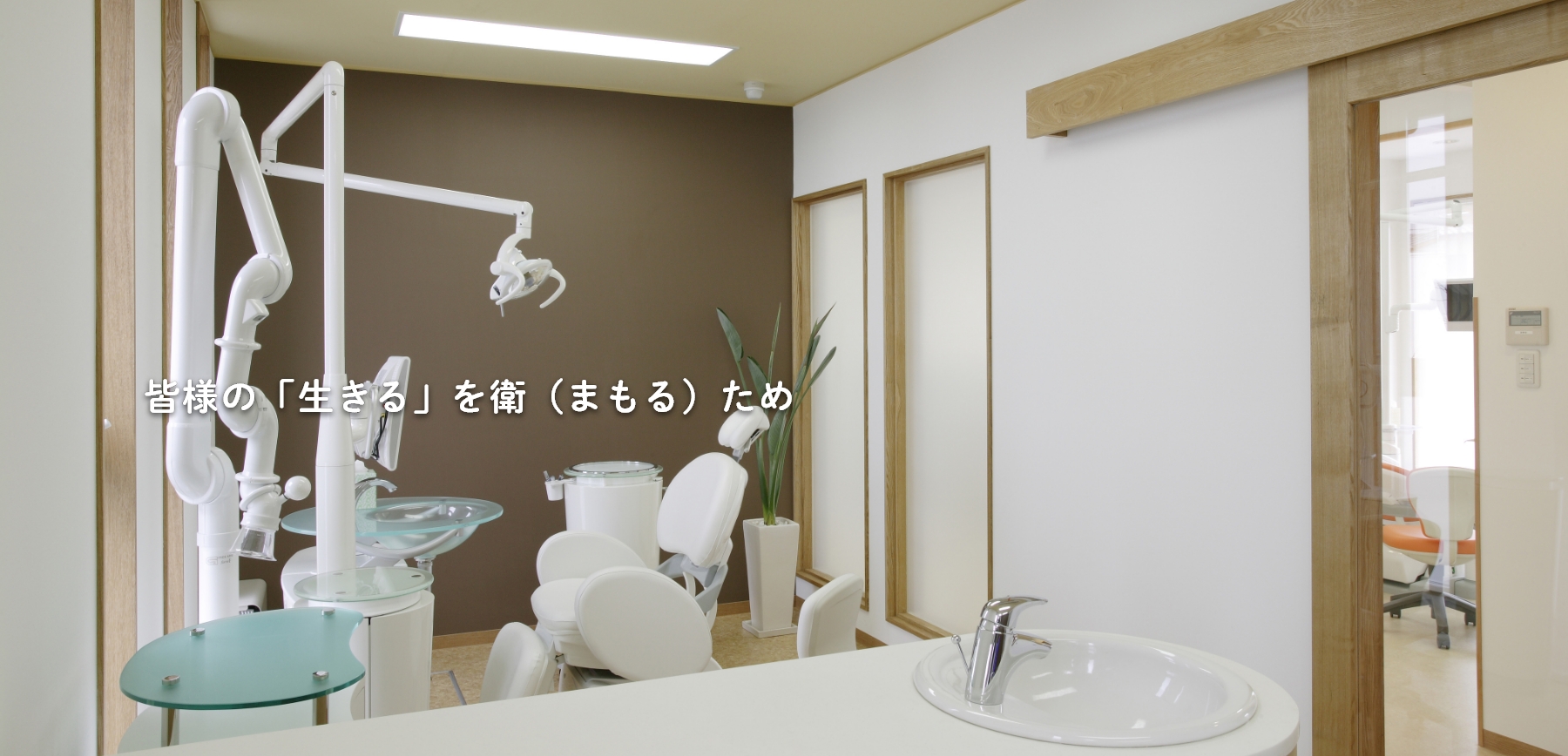 公式案内画像