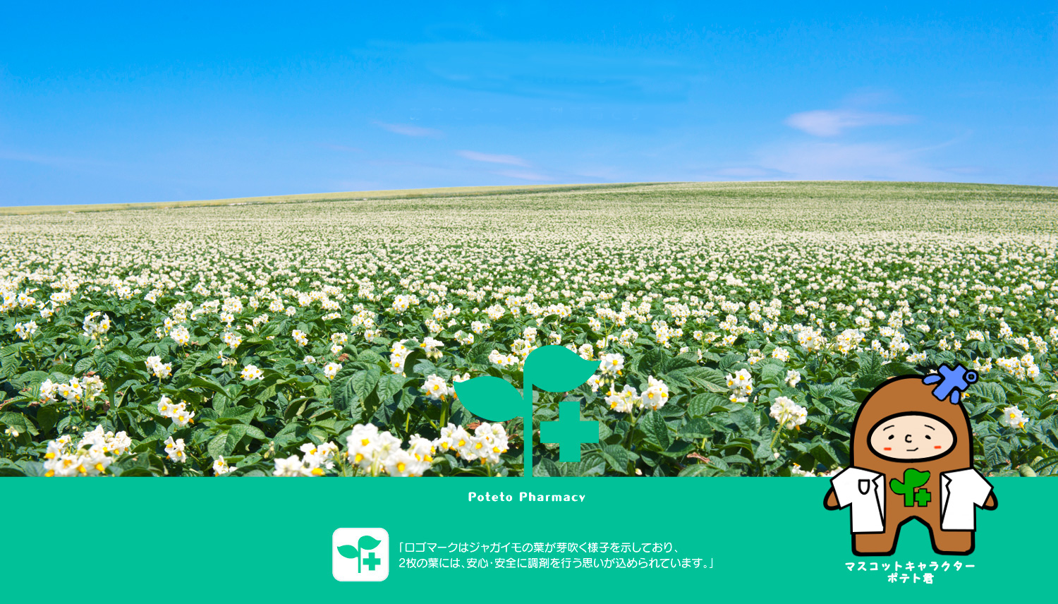 ポテトるべ薬局 の写真