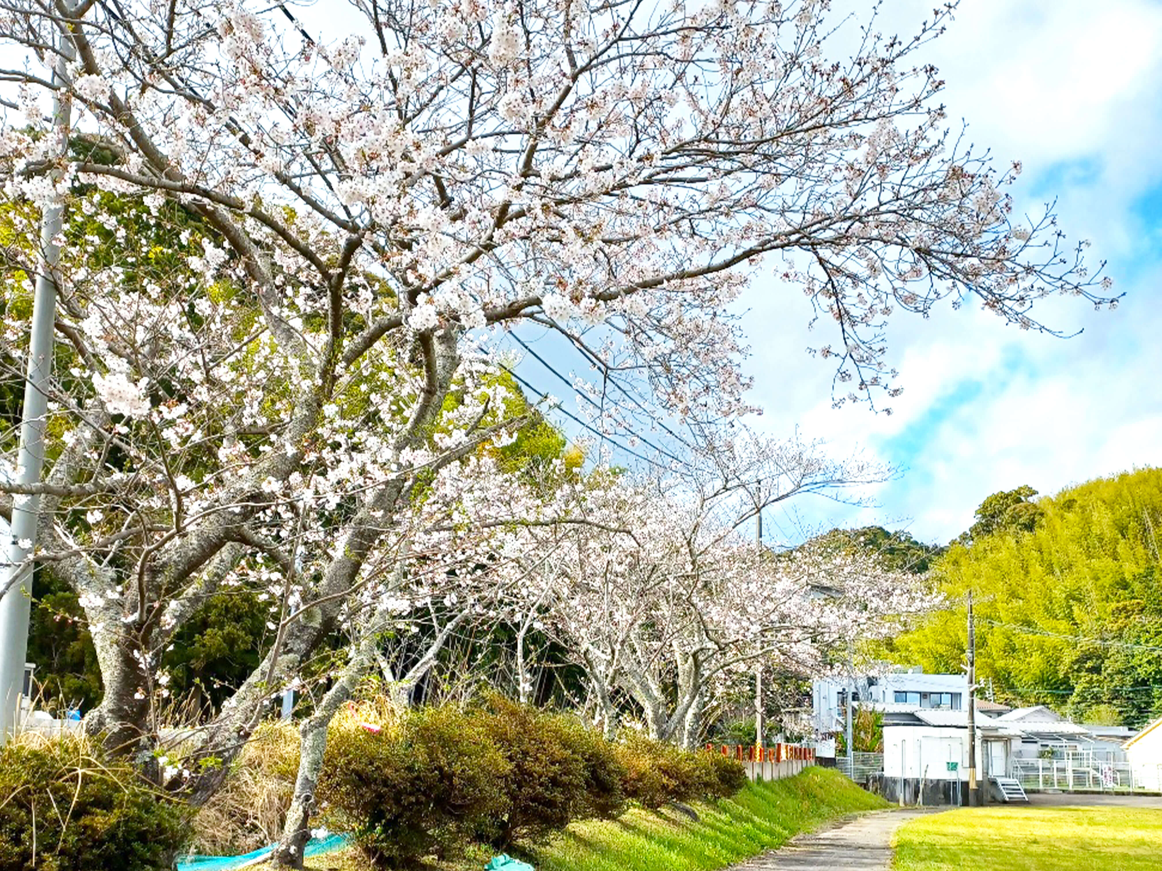 岩﨑病院 の写真