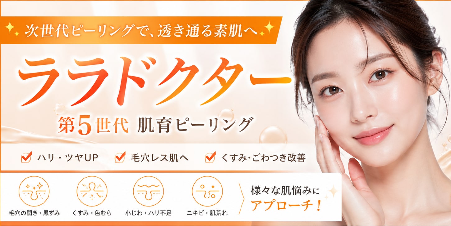 公式案内画像