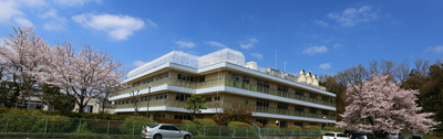 桜と青空を背景にした相模病院の建物外観