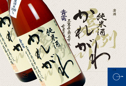 公式案内画像