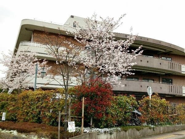 公式の在宅支援ページに掲載される春の病院施設外観